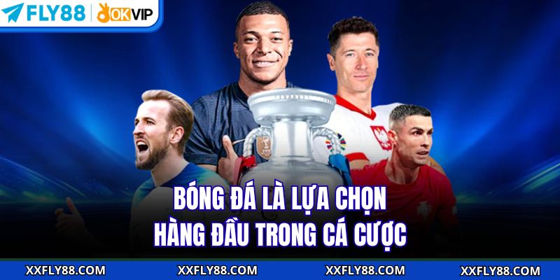 Thể Thao FLY88 - Cá Cược Kịch Tính Với Tựa Game Đẳng Cấp - betbeacon99