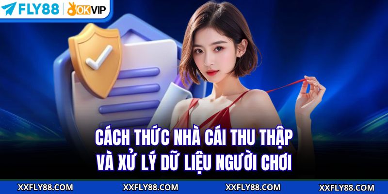Chính Sách Bảo Mật FLY88 - Đảm Bảo An Toàn Cho Người Chơi - betbeacon99