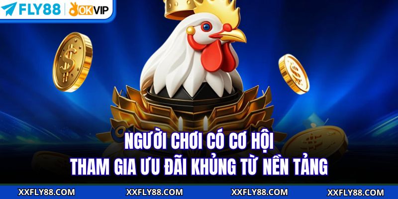 Đá Gà FLY88 - Tận Hưởng Không Gian Giải Trí Số 1 Châu Á - betbeacon99