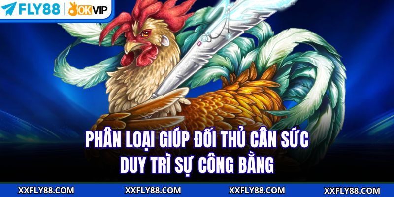Đá Gà Cựa Sắt Thomo | Trải Nghiệm Hấp Dẫn Cho Hội Viên FLY88 - betbeacon99
