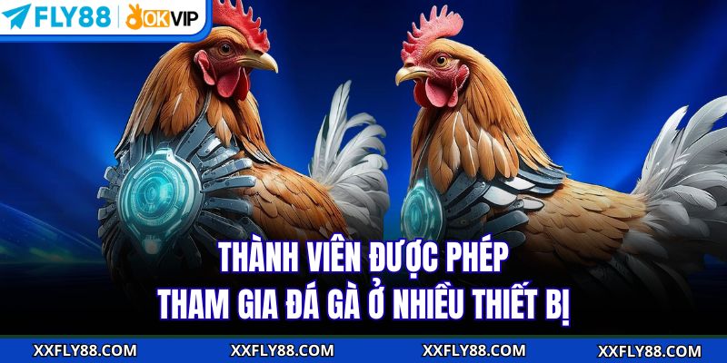 Đá Gà FLY88 - Tận Hưởng Không Gian Giải Trí Số 1 Châu Á - betbeacon99
