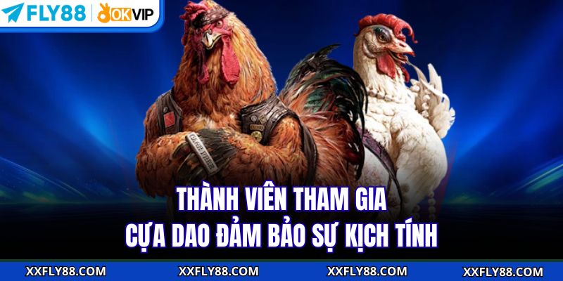 Đá Gà FLY88 - Tận Hưởng Không Gian Giải Trí Số 1 Châu Á - betbeacon99