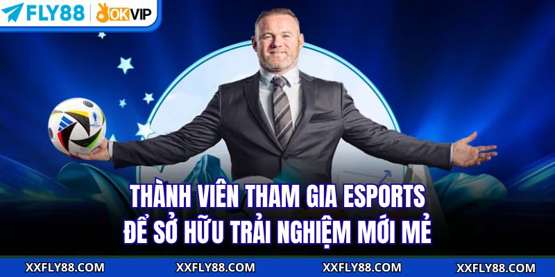 Thể Thao FLY88 - Cá Cược Kịch Tính Với Tựa Game Đẳng Cấp - betbeacon99