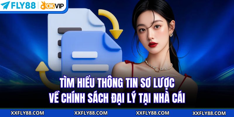 Chính Sách Đại Lý FLY88 Hợp Tác Minh Bạch, Lợi Nhuận Bền Vững - betbeacon99